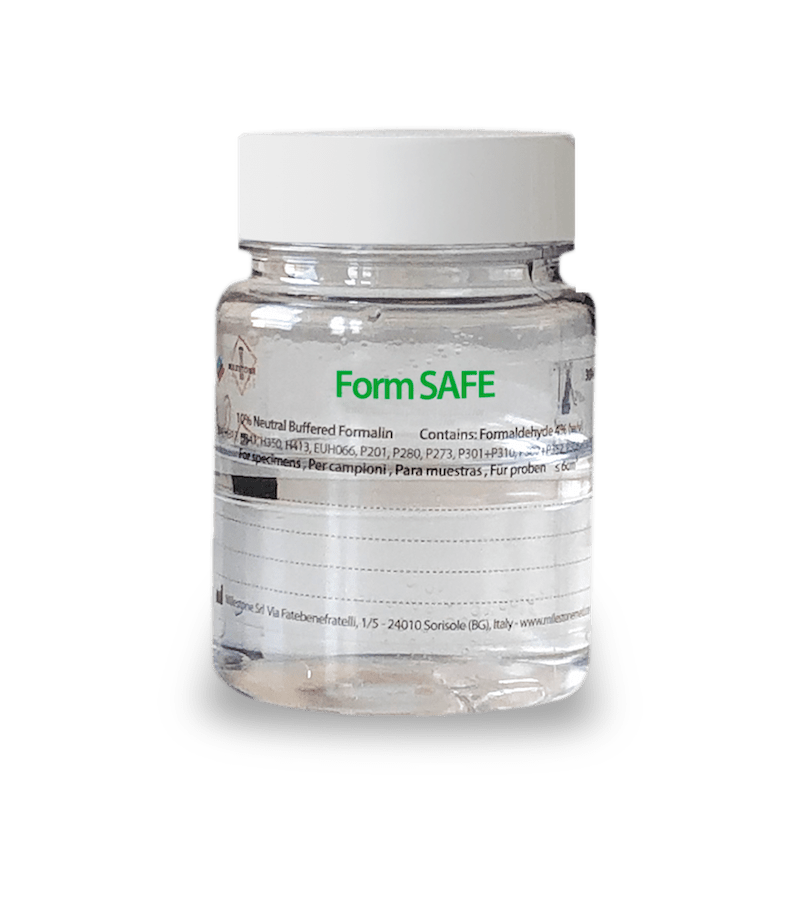 FormSAFE