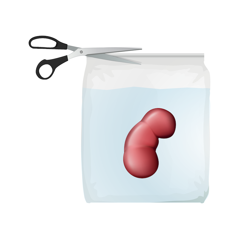 Stand-up vacuum-sealed bags for SealSAFE