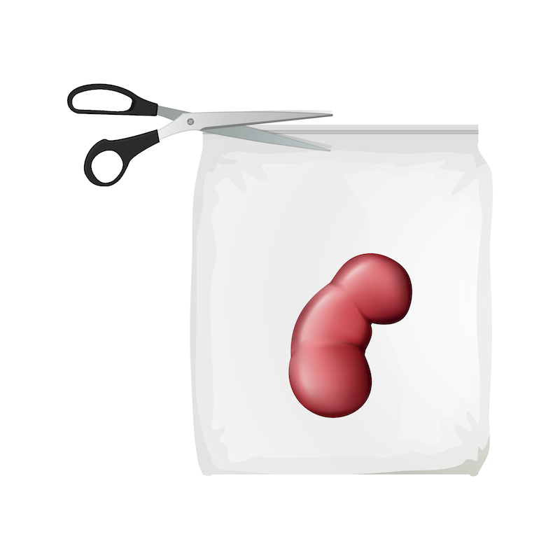 Stand-up vacuum-sealed bags for TissueSAFE plus