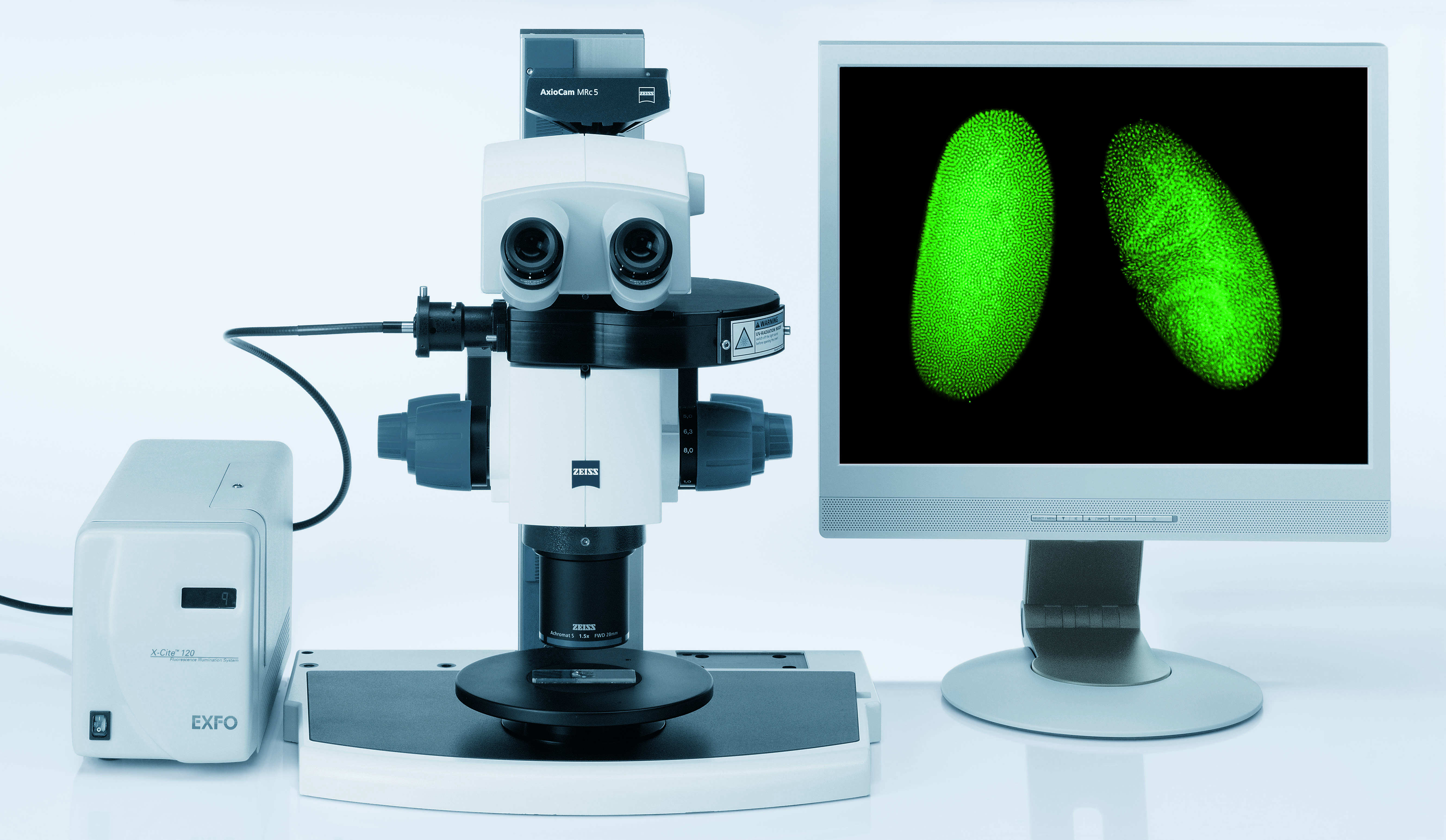 Zeiss SteREO Discovery V8解剖(螢光)顯微鏡台灣儀器行 蔡司(Zeiss)台灣總代理 解剖(螢光)顯微鏡