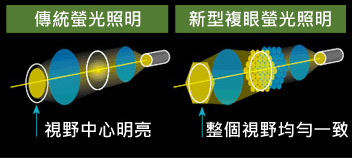 http://www.nikon-instruments.com.cn/userfiles/Image/fly%20eye.jpg