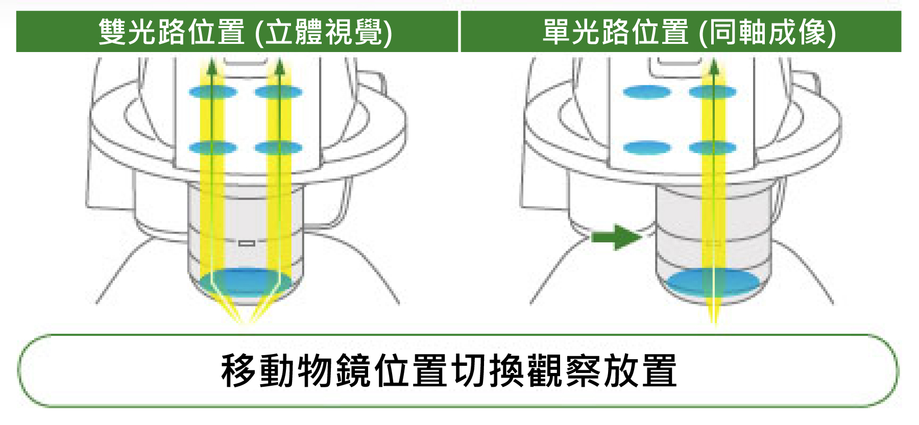 http://www.nikon-instruments.com.cn/userfiles/Image/SMZ-on-axis%20copy.jpg