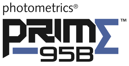 Photometrics Prime 95B sCMOS camera