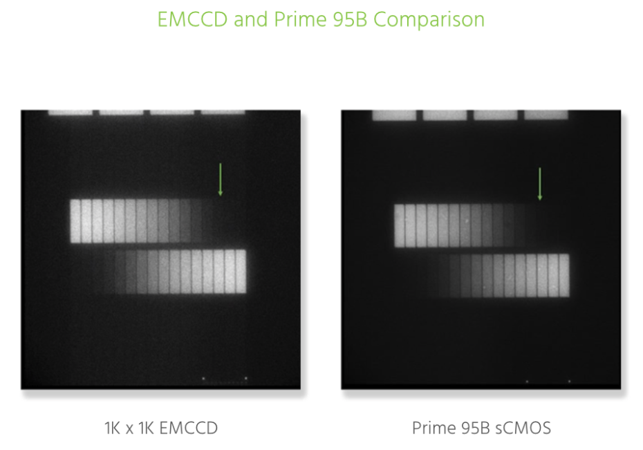 EMCCD 與 Prime 95B比較