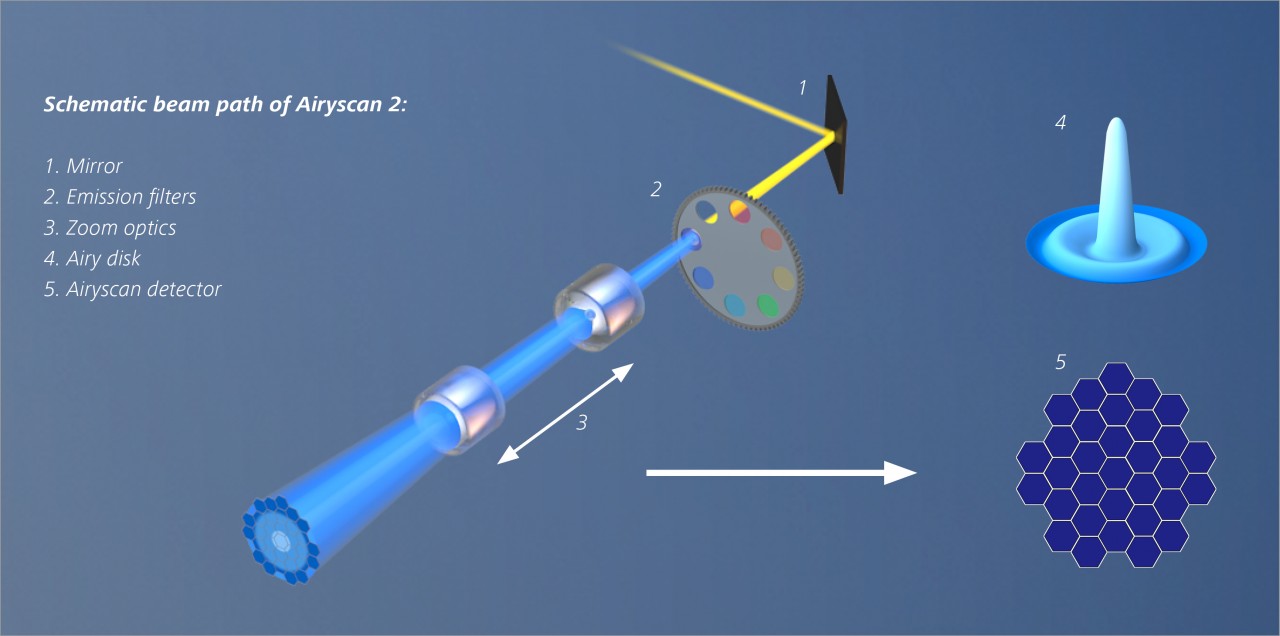 Airyscan-2-principle.jpg