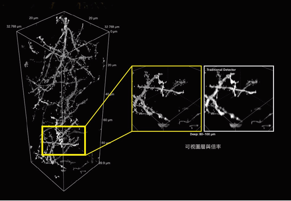 型錄上的圖.png