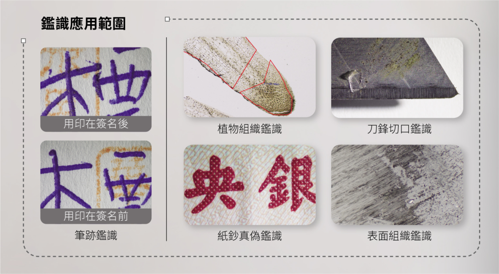花絮03.png