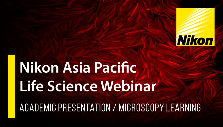 Webinar Flyer (Editable) III.png