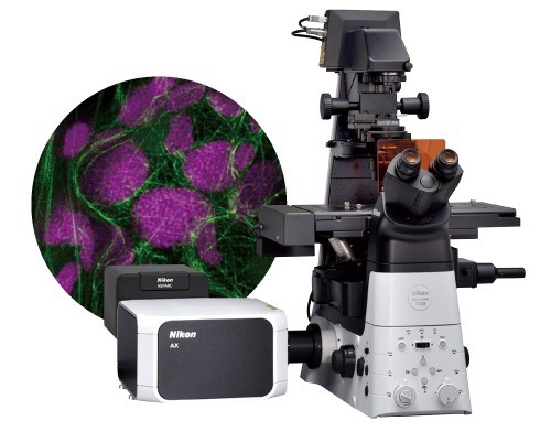 20250322_500BANNER_NIKON-2 1.jpg