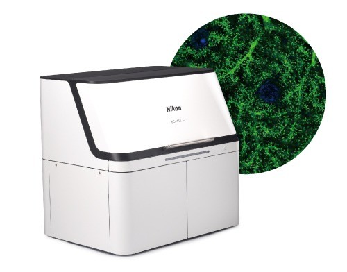 20250322_500_BANNER_NIKON-1 1.jpg