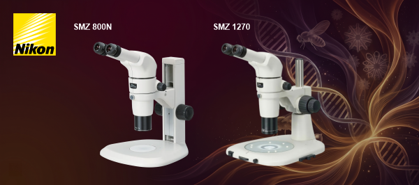 EDM_SMZ_600 X 266.png