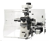 Nikon N-SIM E超高解析顯微鏡