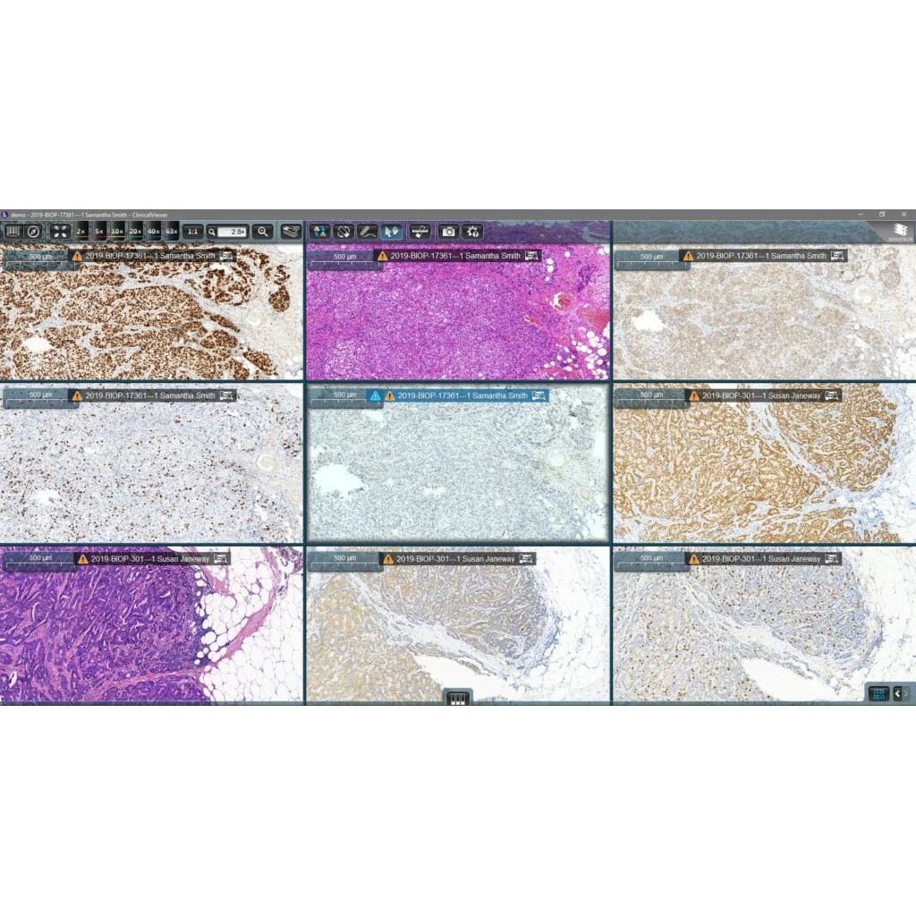 臨床閱片軟體 Clinical Viewer