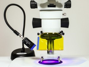 立體顯微鏡螢光配件