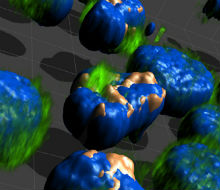 Image-Pro Premier 3D 9.2