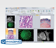 Software - QCapture