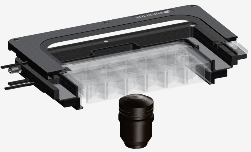 Stage Top Incubator
