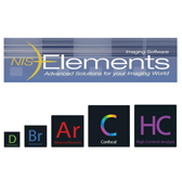 NIS elements