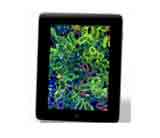 iPad Viewer / Instant Viewer 數位玻片影像閱片軟體（For iPad / MAC）