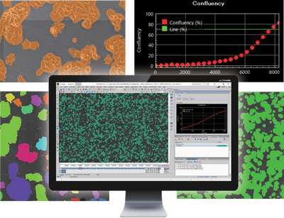 CA （Cell Analysis）module 活細胞影像分析模組