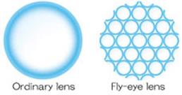 Ordinary lens / Fly-eye lens