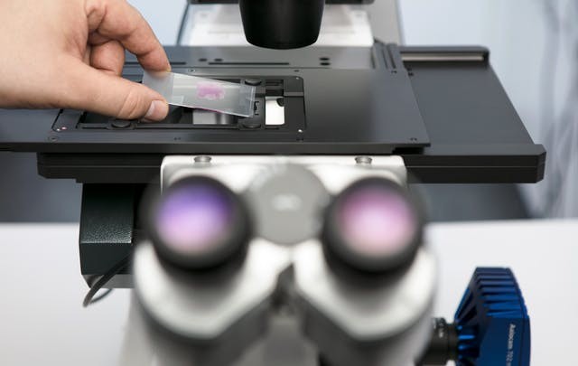 zeiss-axio-observer-ai-sample-finder-step-1.ts-1601035355856 (1).jpg