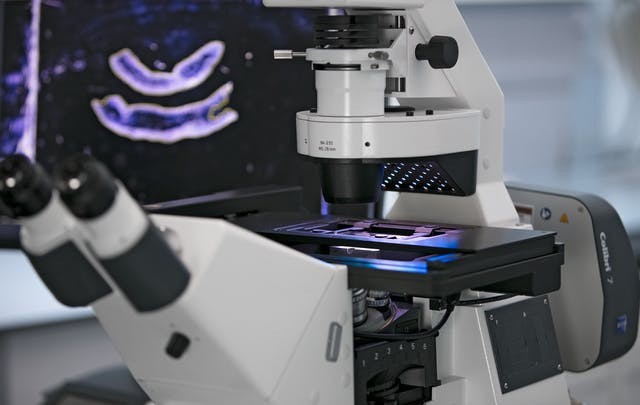 zeiss-axio-observer-ai-sample-finder-step-2.ts-1601035356082 (1).jpg