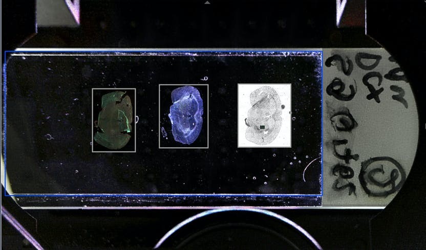 zeiss-ai-sample-finder-overview-image.ts-1602593022686.jpg